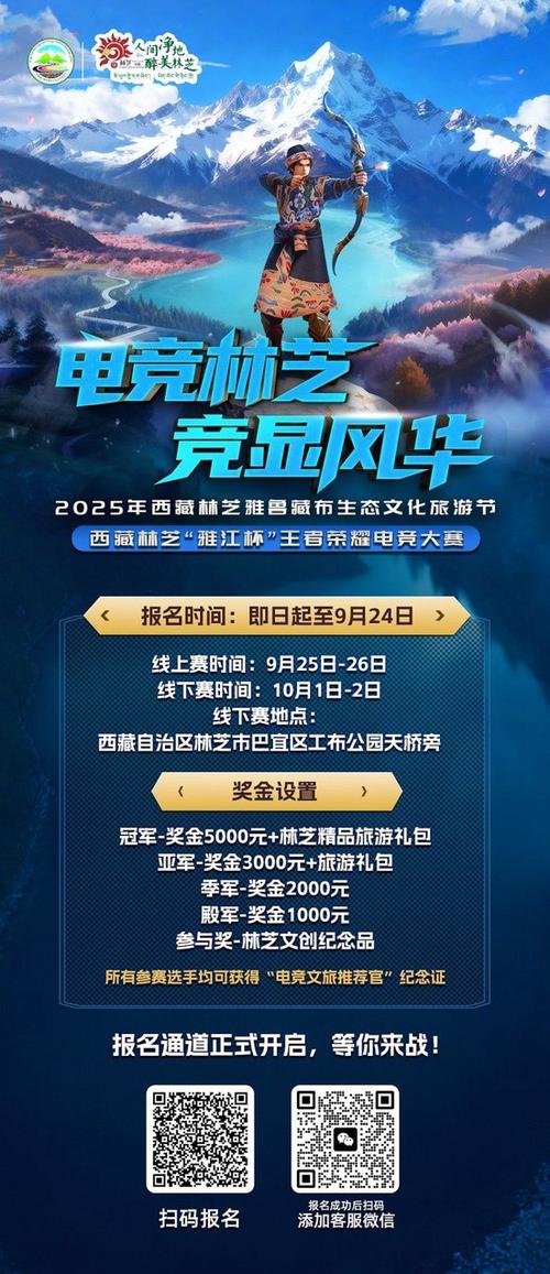 王者荣耀林芝电竞赛,巅峰对决等你来战-新浪电竞
